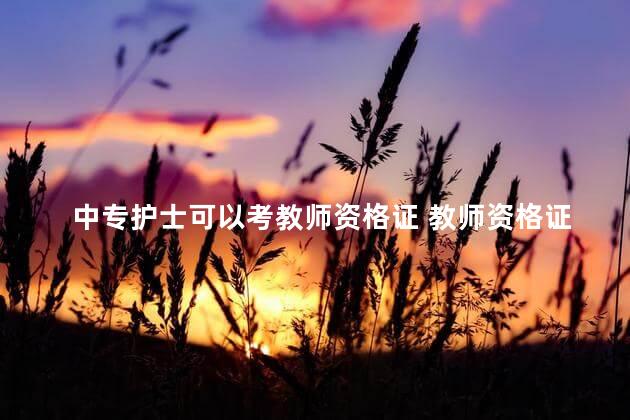 中专护士可以考教师资格证 教师资格证和护士证哪个好考